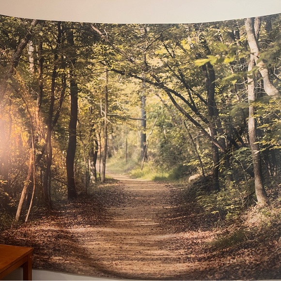Forest Light by Ann Barnes Wall Tapestry
By East Urban Home. Size : 68"H x 80" W - Picture 3 of 3